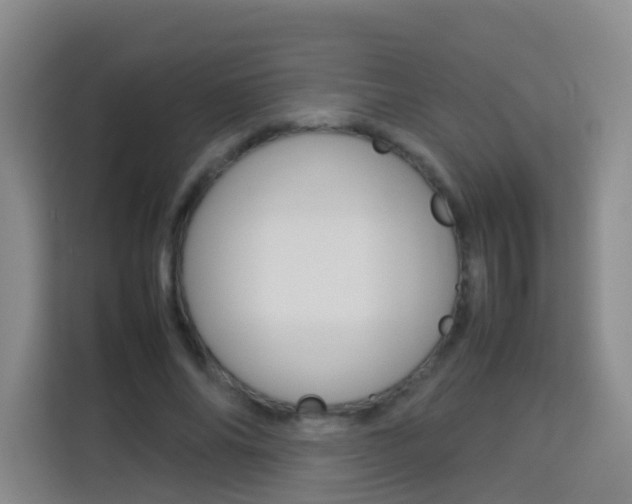 X0000114060686200910050956