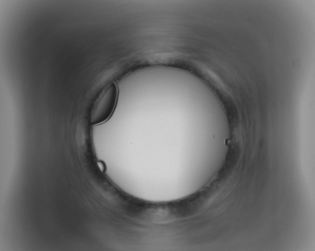 X0000114060687200910050956