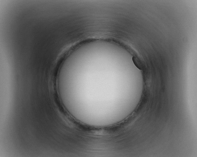X0000114060688200910050956