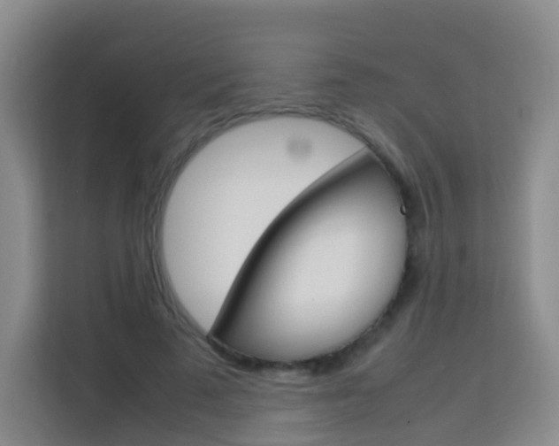 X0000114060689200910050956