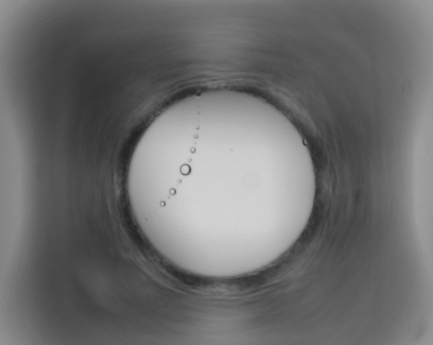X0000114060691200910050956