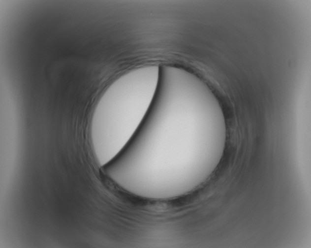 X0000114060695200910050956