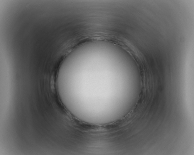 X0000114060696200910050956