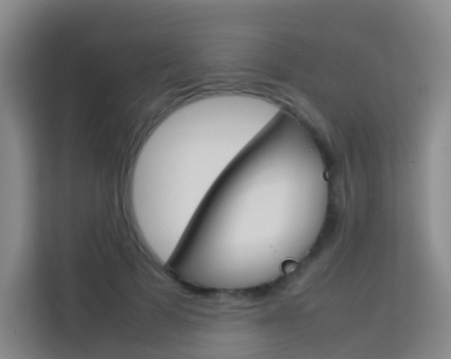 X0000114060697200910050956