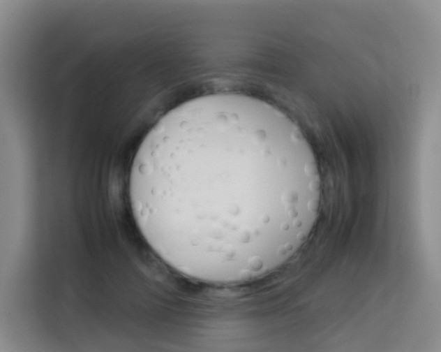 X0000114060698200910050956