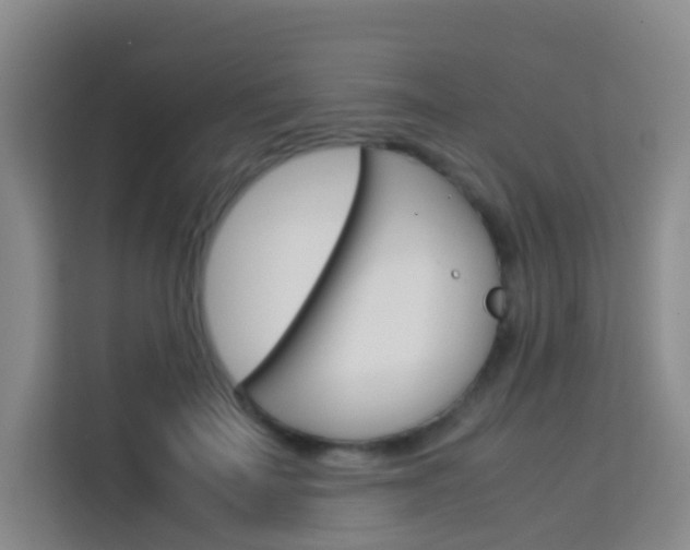 X0000114060699200910050955