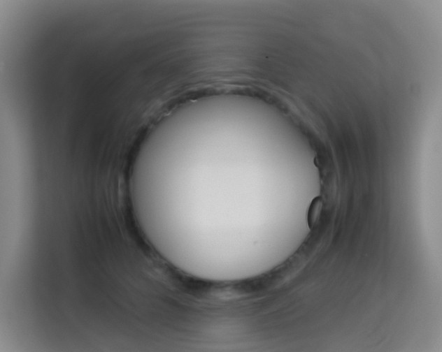 X0000114060704200910050955