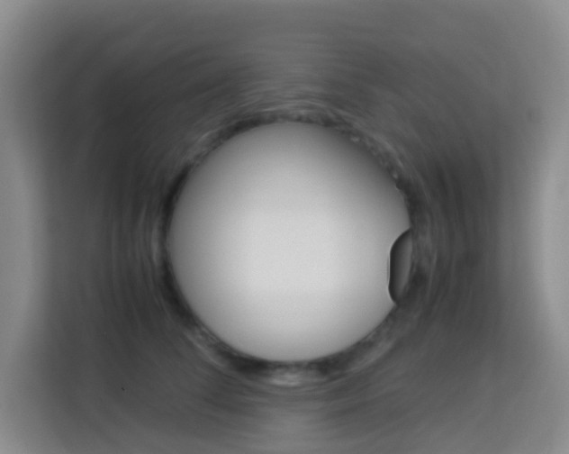 X0000114060708200910050955