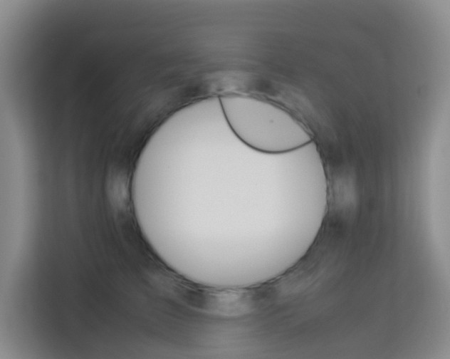 X0000114060709200910050955