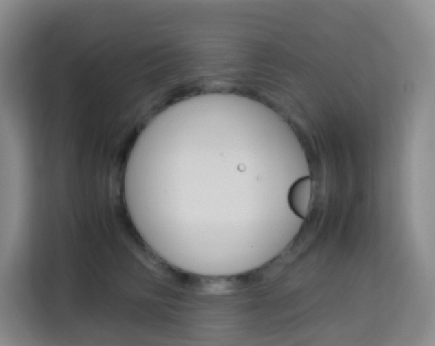 X0000114060710200910050955