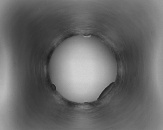 X0000114060716200910050955