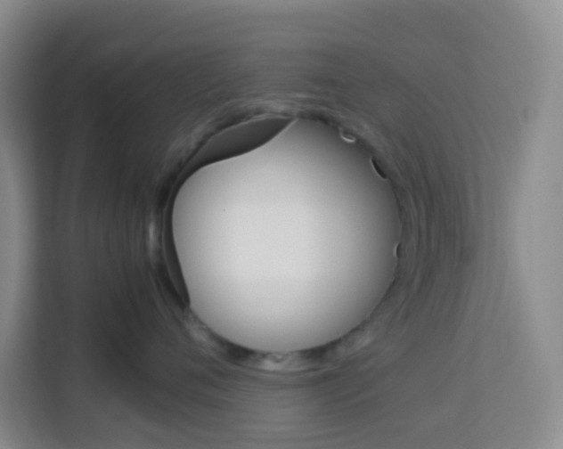 X0000114060720200910050955