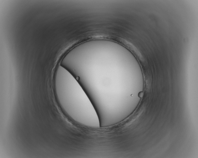 X0000114060721200910050955