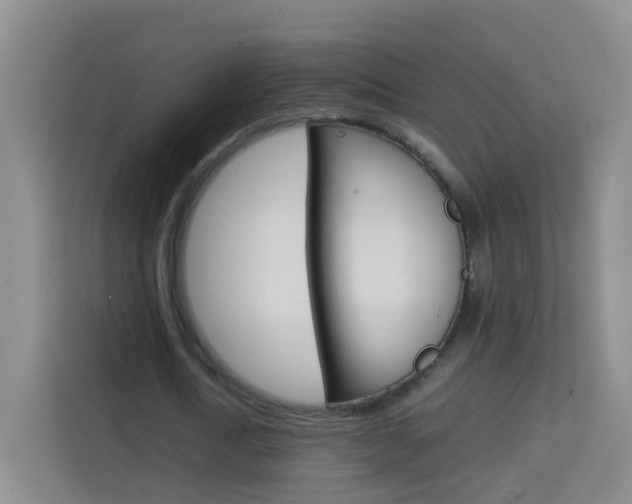 X0000114060722200910050955