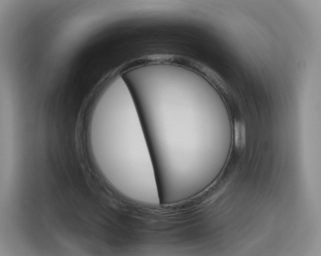 X0000114060723200910050955