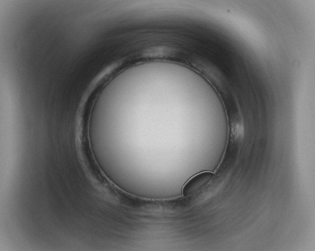 X0000114060724200910050955