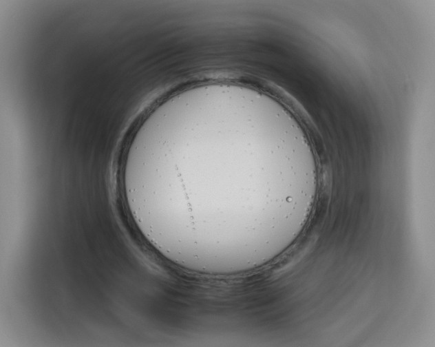X0000114060725200910050955