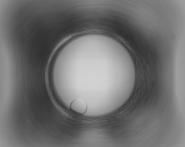 X0000114060726200910050955