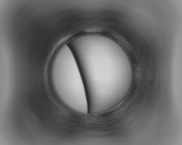 X0000114060727200910050955