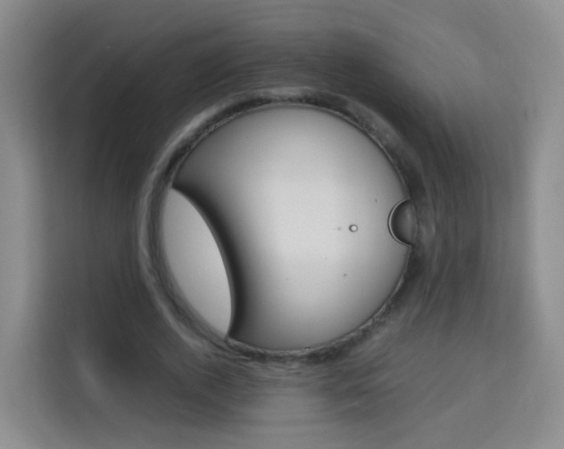 X0000114060728200910050955