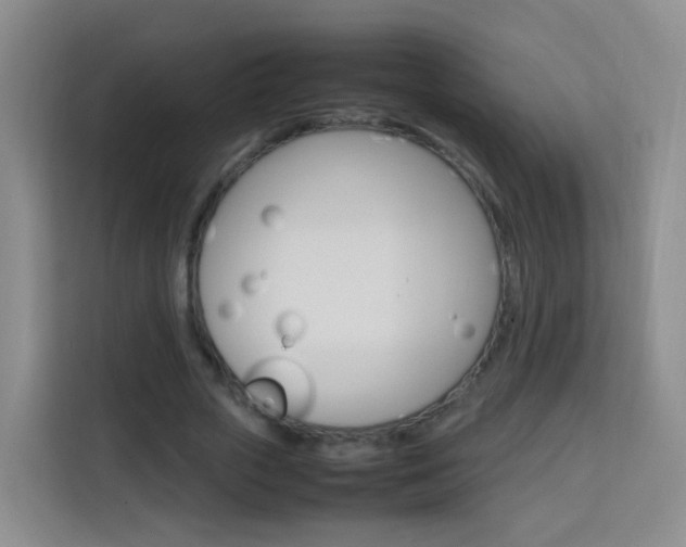 X0000114060729200910050955