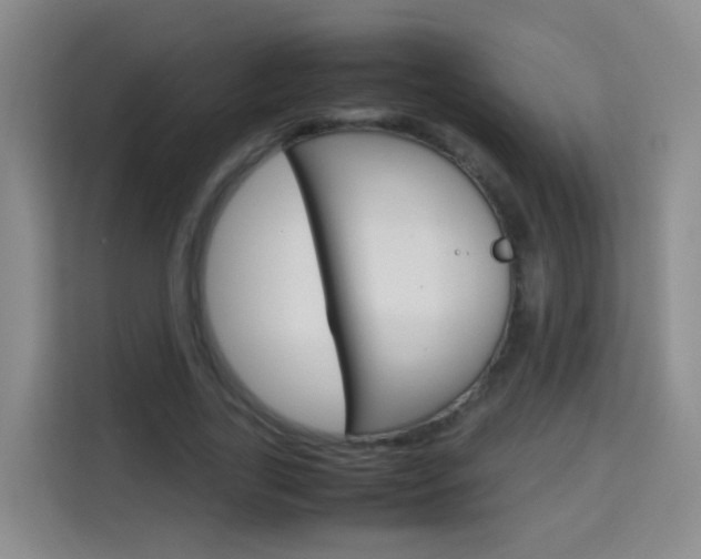 X0000114060731200910050955