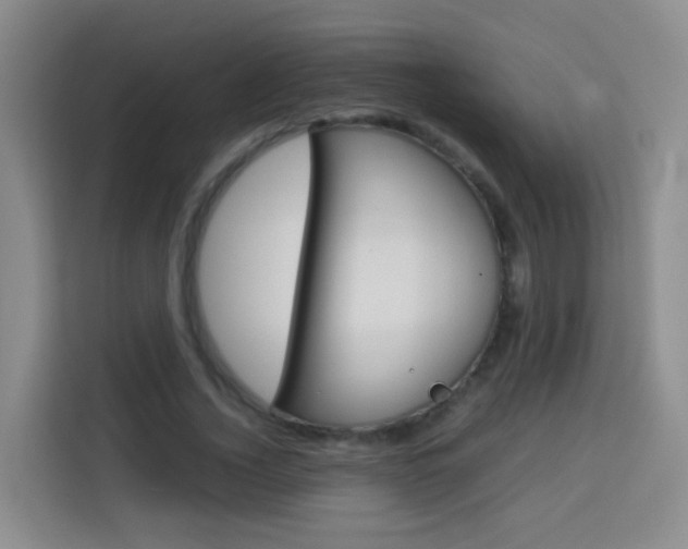 X0000114060732200910050955