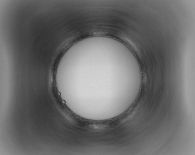 X0000114060733200910050955