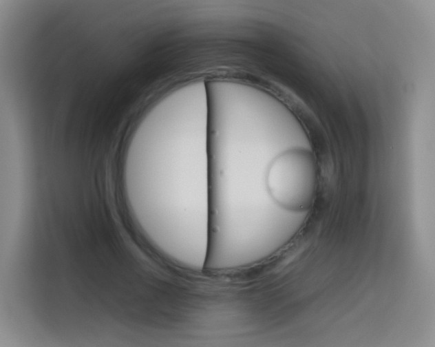 X0000114060734200910050955