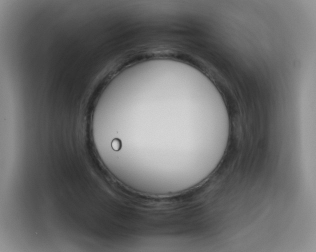 X0000114060735200910050955