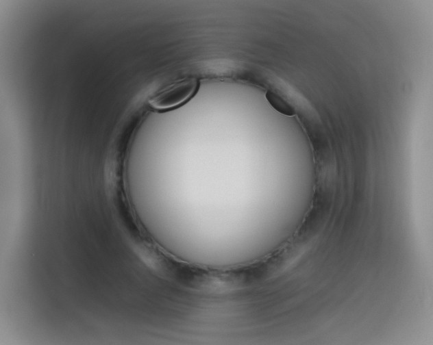 X0000114060736200910050955