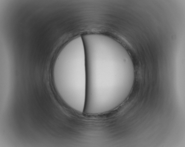 X0000114060738200910050955