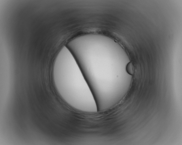 X0000114060739200910050955