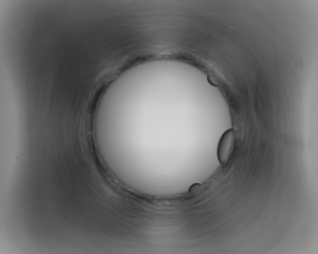 X0000114060740200910050955