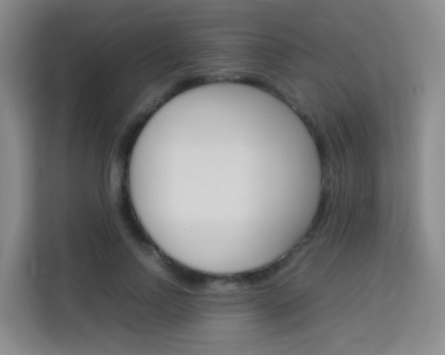 X0000114060742200910050955