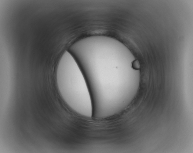 X0000114060743200910050955