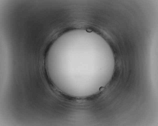X0000114060744200910050955