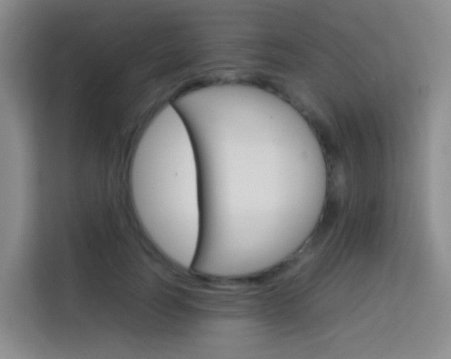 X0000114060746200910050955