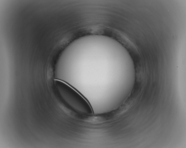 X0000114060748200910050955
