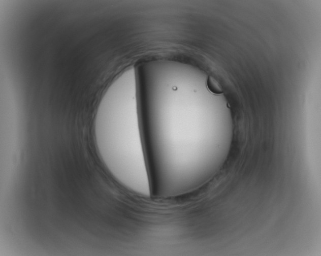 X0000114060750200910050955