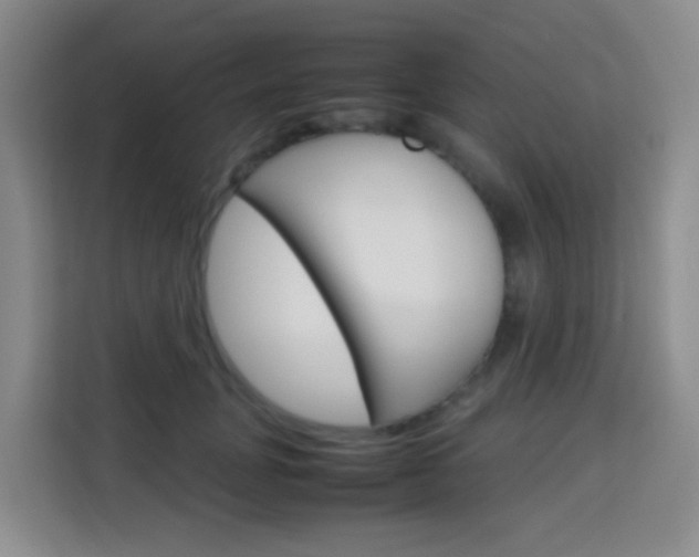 X0000114060751200910050955
