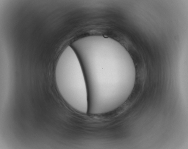 X0000114060755200910050955