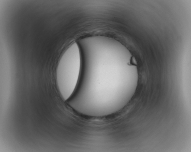 X0000114060756200910050955