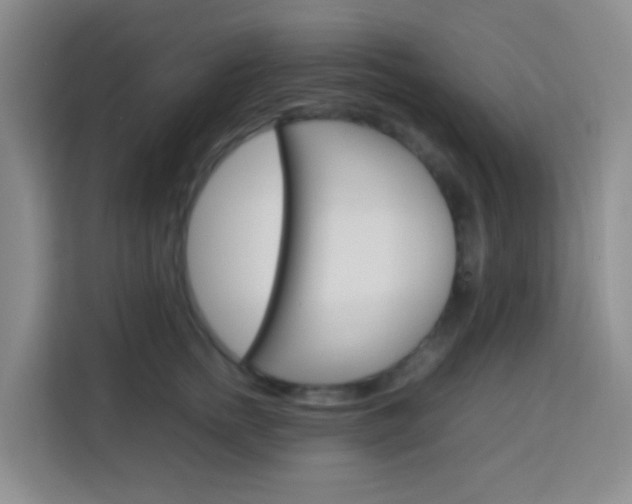 X0000114060758200910050955