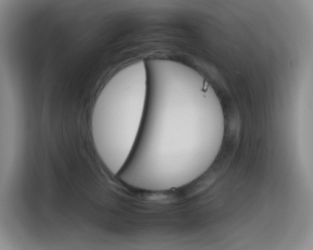 X0000114060759200910050955