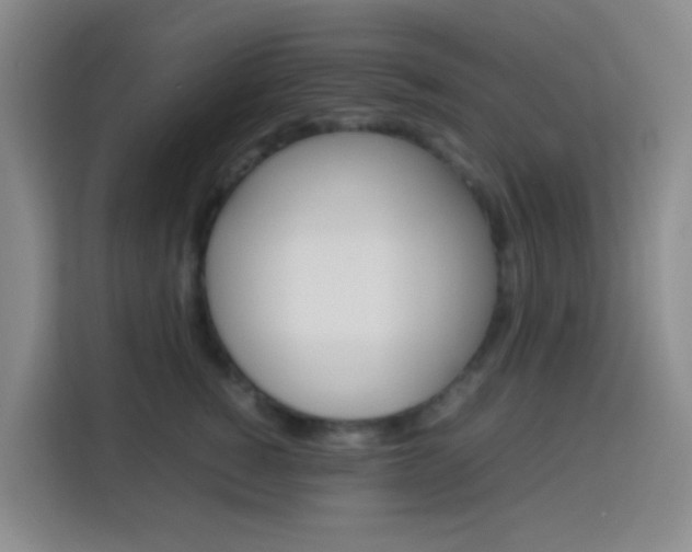 X0000114060760200910050955