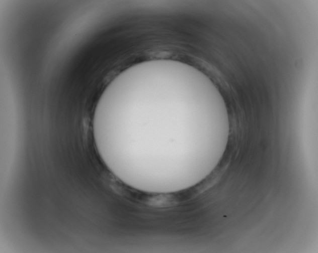 X0000114060761200910050955