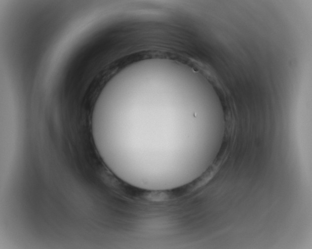 X0000114060762200910050955