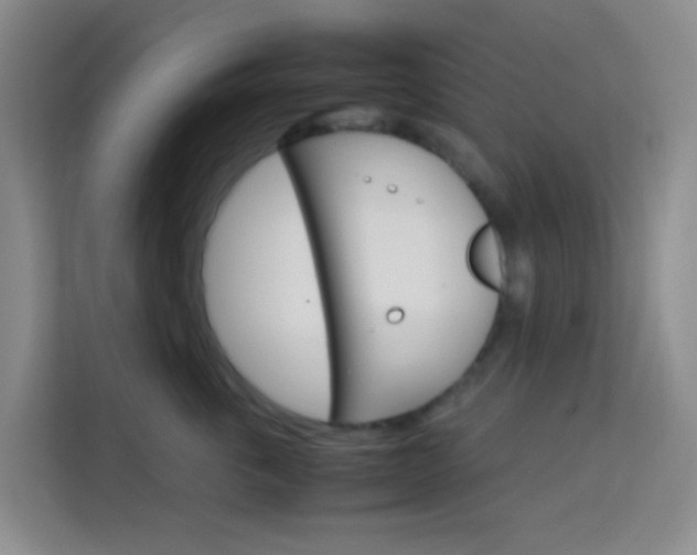 X0000114060763200910050955
