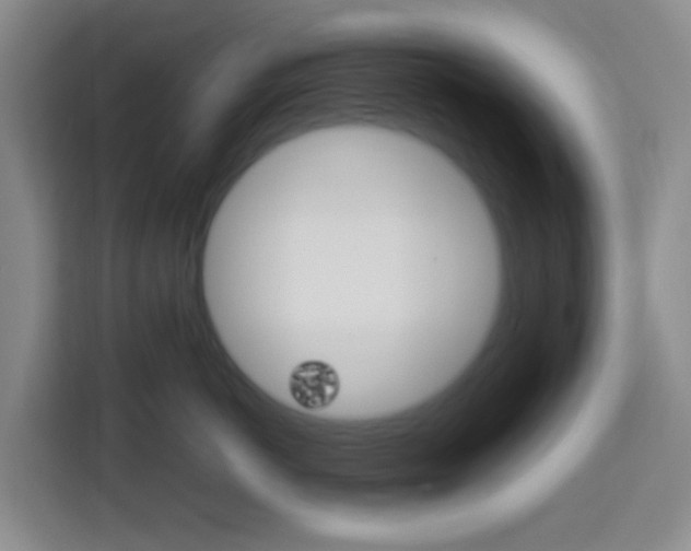 X0000114060766200910050955